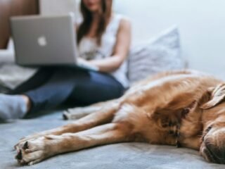 Is There Any Risk with Shopify? Understanding the Safety and Security Concerns